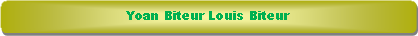 Rectangle � coins arrondis: Yoan Biteur Louis Biteur