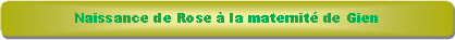 Rectangle � coins arrondis: Naissance de Rose � la maternit� de Gien
