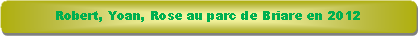 Rectangle � coins arrondis: Robert, Yoan, Rose au parc de Briare en 2012
